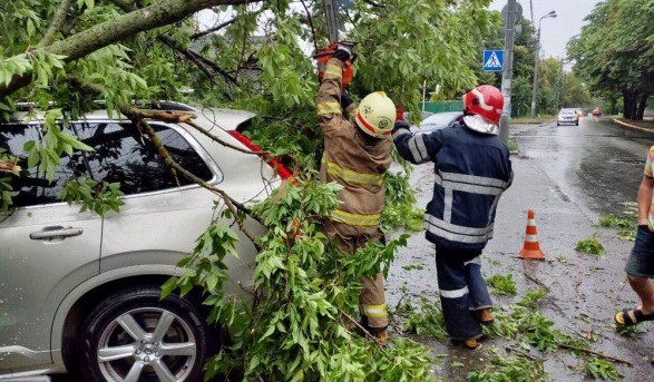 Буря в Украине: рухнувшее дерево убило человека