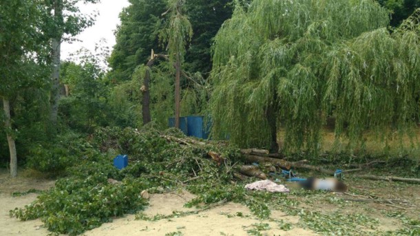 Буря в Украине: в Харьковской области рухнувшее дерево убило женщину