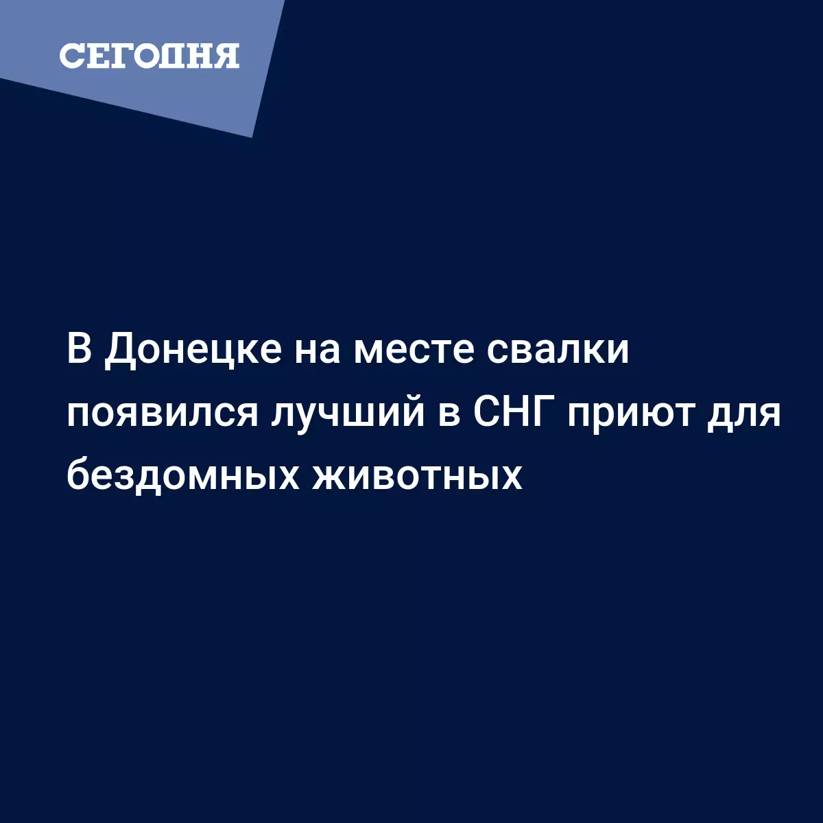 В Донецке на месте свалки появился лучший в СНГ приют для бездомных  животных - Новости Донбасса | Сегодня