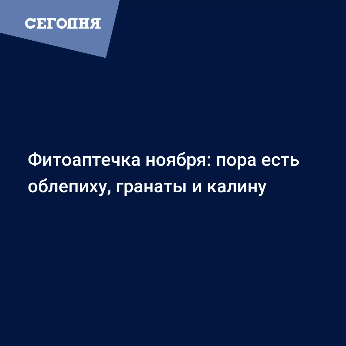 Как правильно есть облепиху, гранат и калину для профилактики гриппа и  простуды - Рецепты, продукты, еда | Сегодня