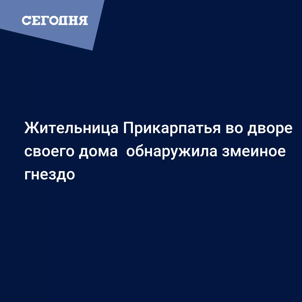 В карпатском селе нашли змеиное гнездо - Новости Западной Украины | Сегодня