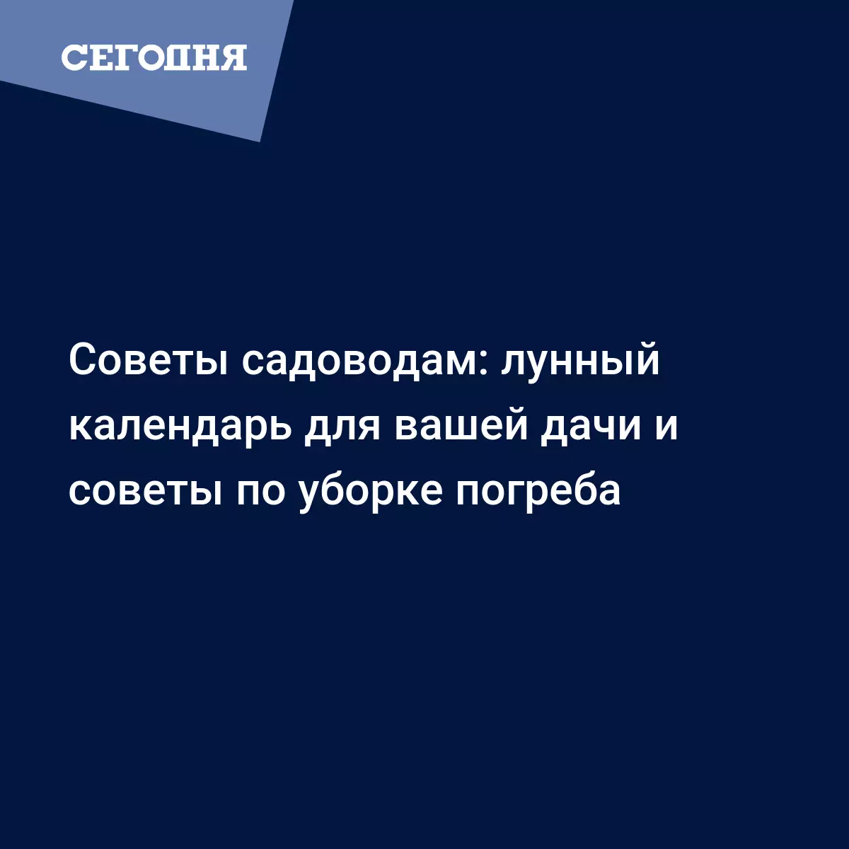 Советы садоводам: лунный календарь для вашей дачи и советы по уборке  погреба - Стиль | Сегодня