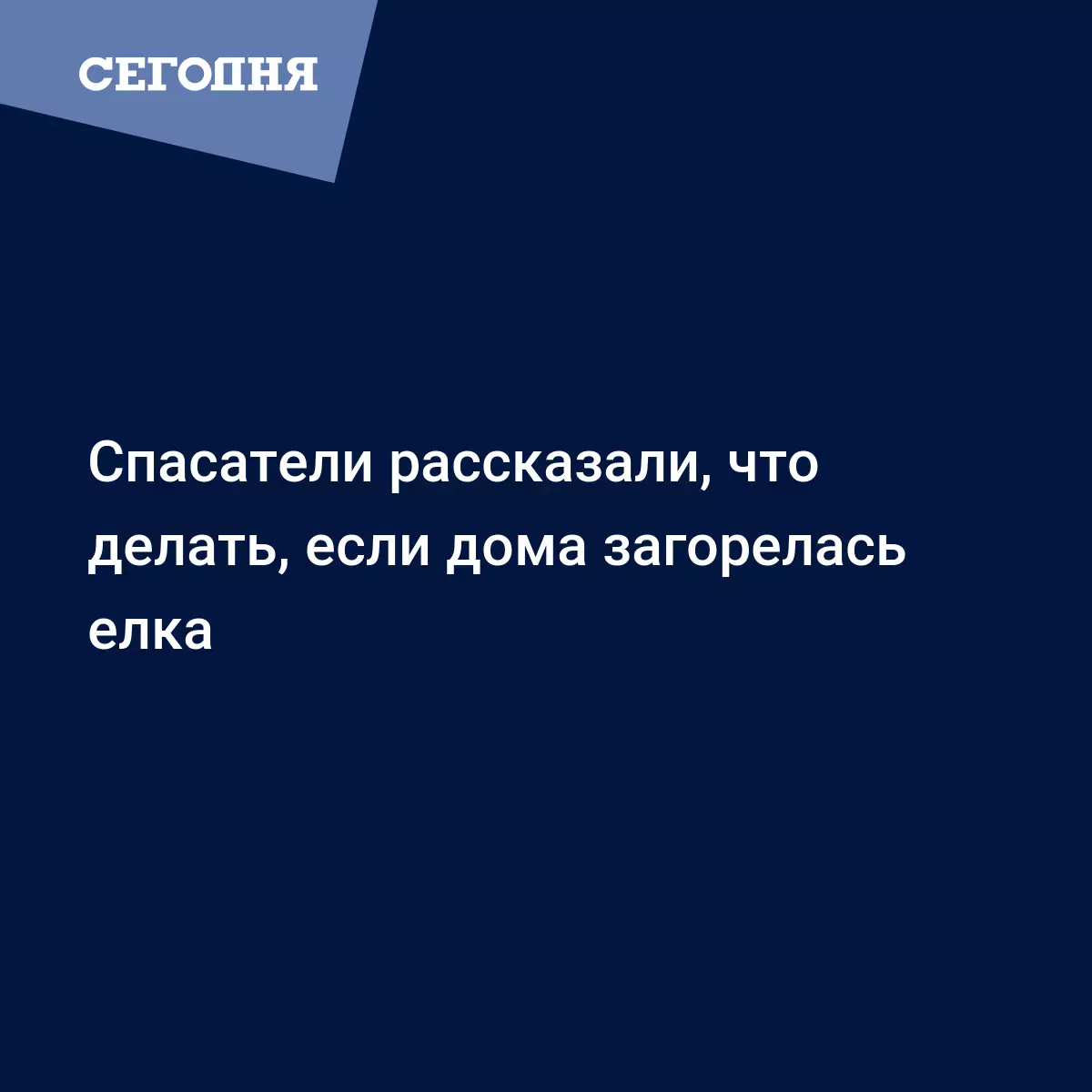 Спасатели рассказали, что делать, если дома загорелась елка | Сегодня