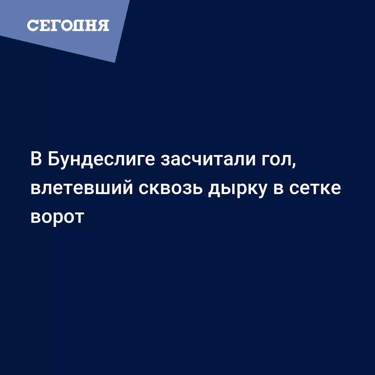 В Бундеслиге засчитали гол, влетевший сквозь дырку в сетке ворот - Новости  футбола | Футбол Сегодня