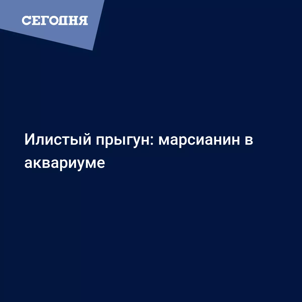 Илистый прыгун: марсианин в аквариуме - Психология | Сегодня