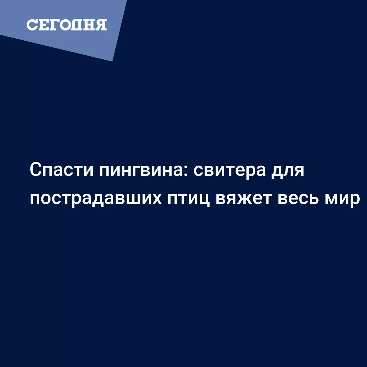 В Австралии 109-летний мужчина вяжет свитера для спасения пингвинов