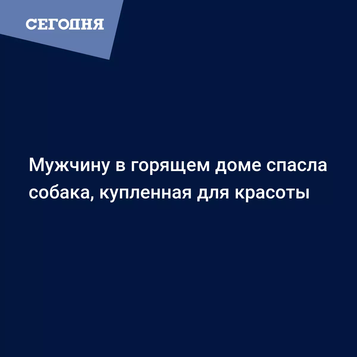 Мужчину в горящем доме спасла собака, купленная для красоты - Новости  Донбасса | Сегодня