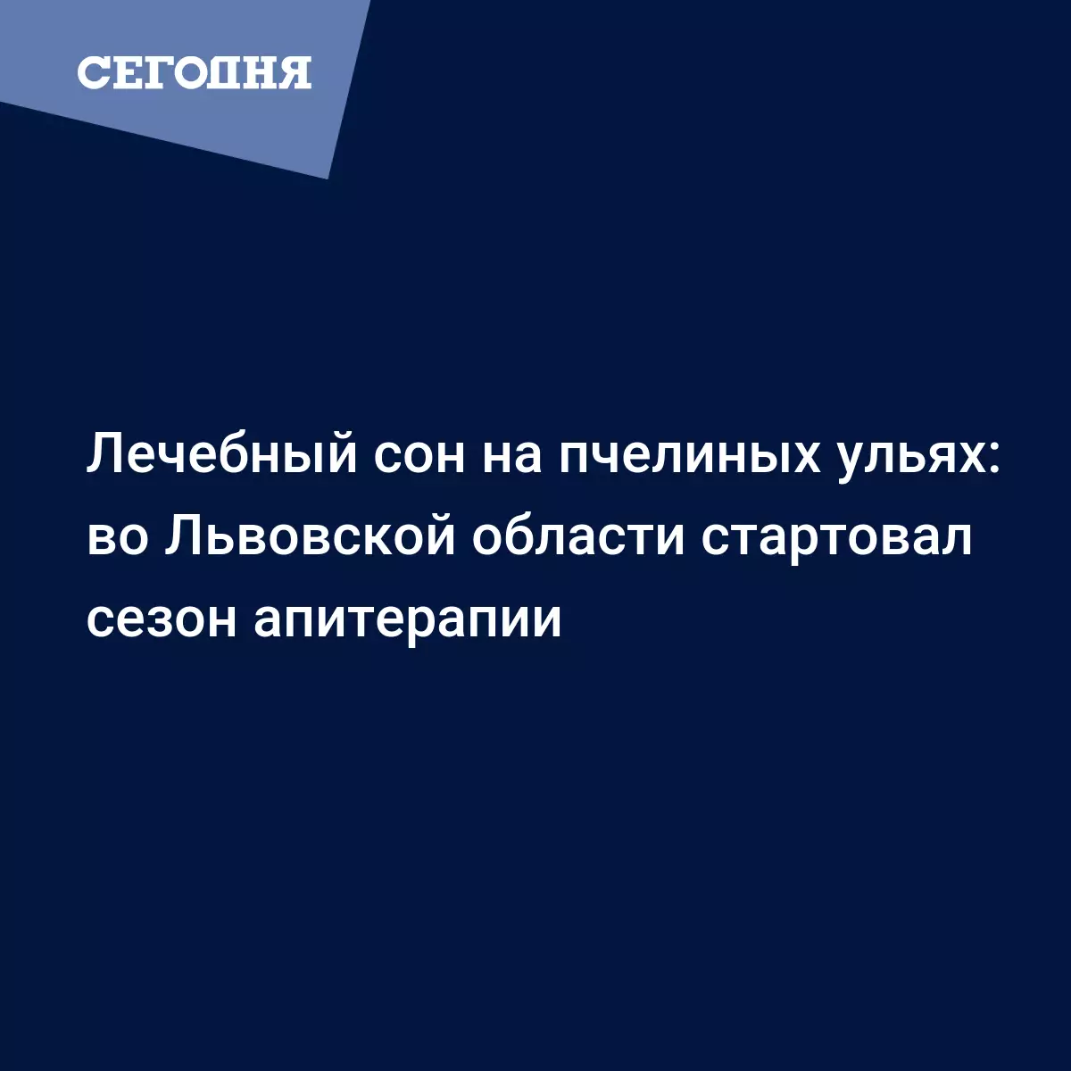 Зачем спать на пчелиных ульях - специалисты объяснили - Новости Западной  Украины | Сегодня