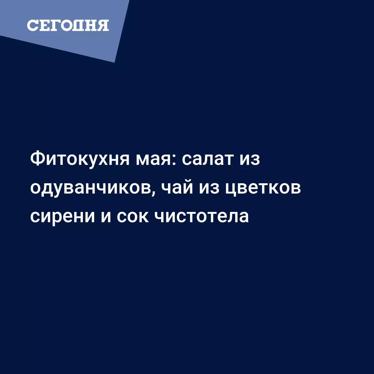 Фитокухня мая: салат из одуванчиков, чай из цветков сирени и сок чистотела  | Сегодня