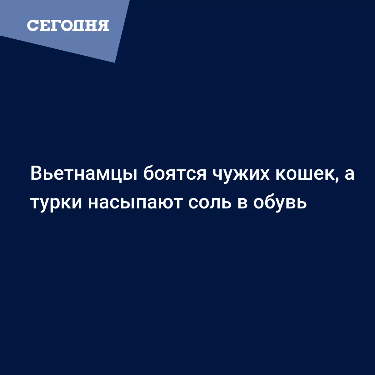 Вьетнамцы боятся чужих кошек, а турки насыпают соль в обувь - Последние  мировые новости | Сегодня