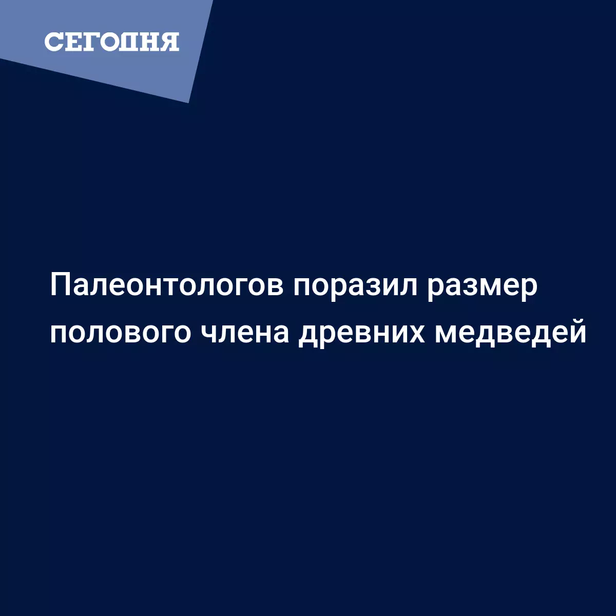 Палеонтологов поразил размер полового члена древних медведей - Последние  мировые новости | Сегодня