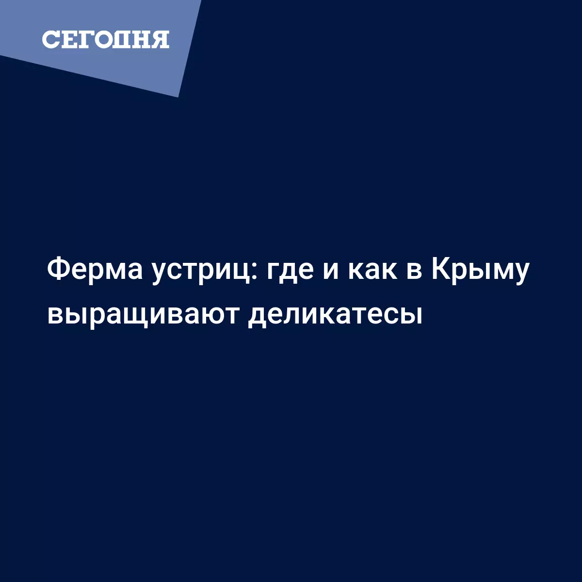 Ферма устриц: где и как в Крыму выращивают деликатесы - Новости Крыма |  Сегодня