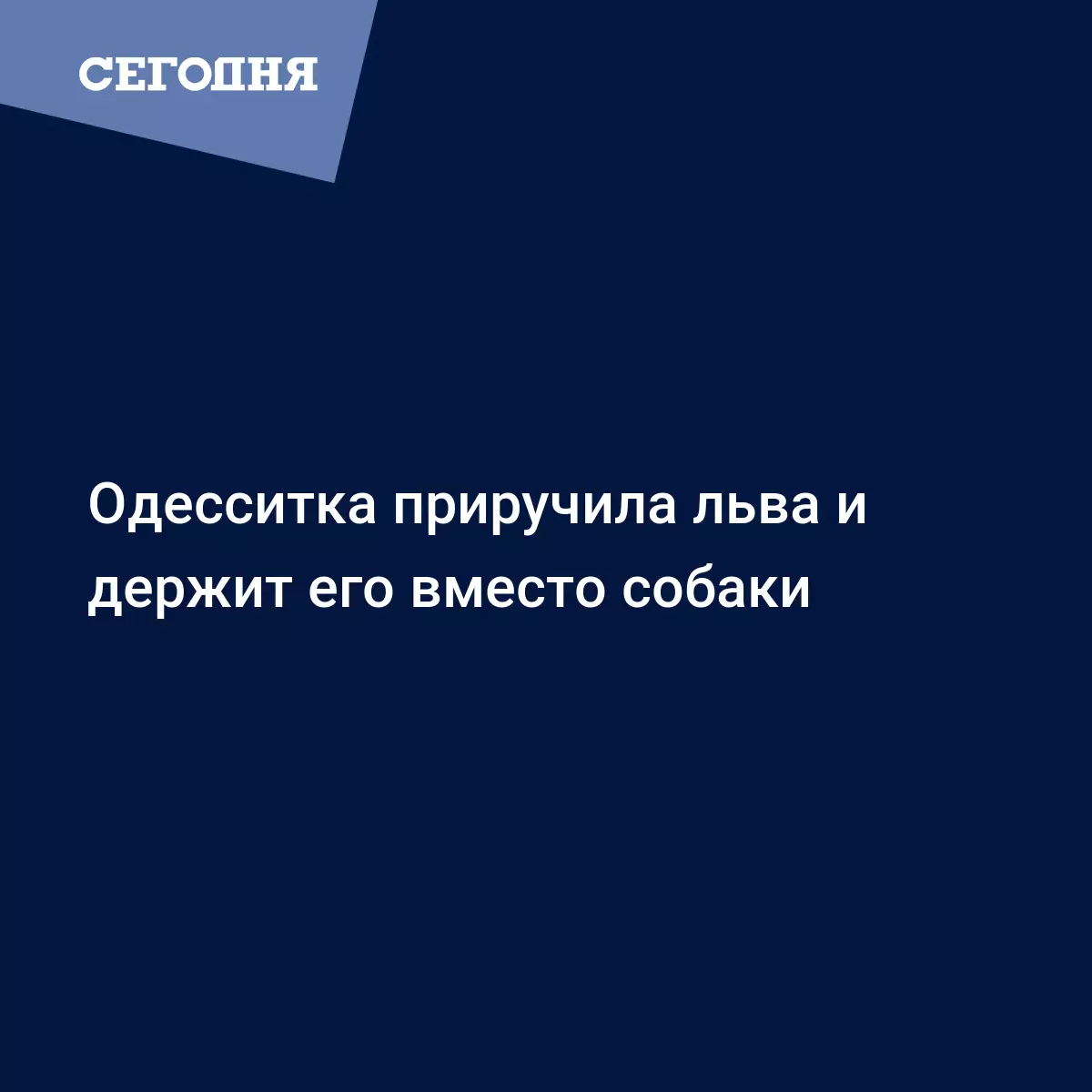 Одесситка приручила льва и держит его вместо собаки - Новости Одессы |  Сегодня