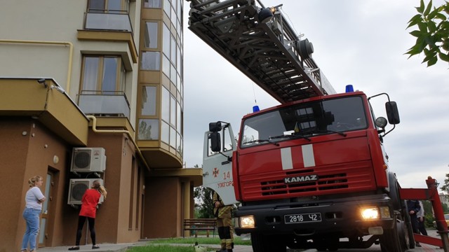 В Ужгороде застрявший в окне котенок устроил переполох