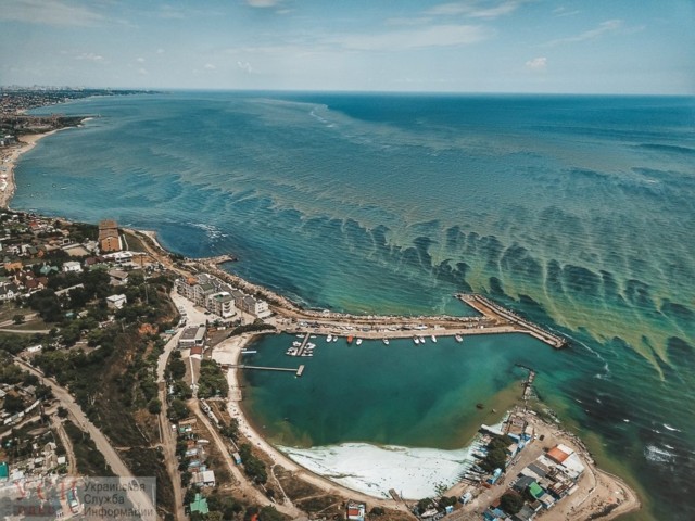 Позеленевшее море Одессы в свежих снимках. Фото