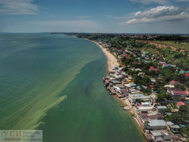 Позеленевшее море Одессы в свежих снимках. Фото