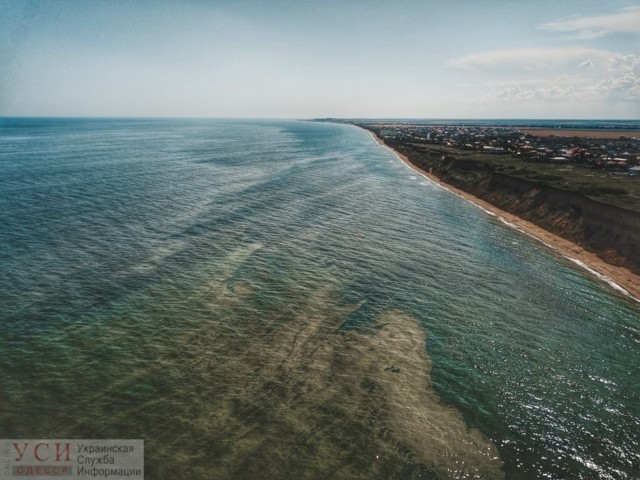 Позеленевшее море Одессы в свежих снимках. Фото