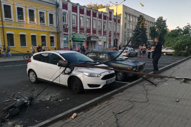 Под Днепром 12-метровое дерево упало на машины