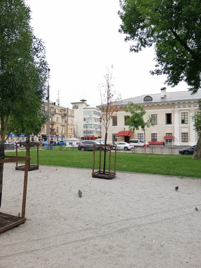 В сквере на Контрактовой площади усохли молодые деревья