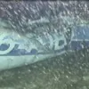 Обломки самолета, на котором летел Эмилиано Сала