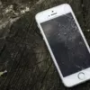 CNET нашли кладбище iPhone