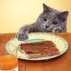 Коты очень любят вкусно поесть Фото: attackofthecute