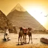 В Египте ввели важное правило для туристов