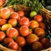 Переспевшие томаты следует хранить в холодильнике