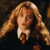 Герміона Грейнджер з серії фільмів про Гаррі Поттера Фото: mel.fm