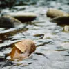 Шотландець знайшов у річці золотий самородок Фото: Gibson Hurst / Unsplash