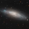 Галактика NGC 4455 находится в созвездии Волосы Вероники