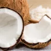Универсальные Близнецы – это кокос, где есть и мякоть, и молоко
