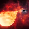 Звезда, разрываемая на части черной дырой промежуточной массы (IMBH)