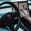 Кермо Tesla залишилось в руках у водія на швидкості
