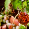 Любители вина теперь могут насладиться виртуальной дегустацией вин в Аргентине