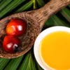 Пальмова олія негативно впливає на здоров'я