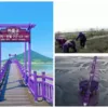 Уникальные пурпурные острова в Южной Корее