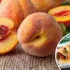 Польза и вред персиков и 4 полезных рецепта с ним