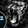 2022 – год Черного Водяного Тигра