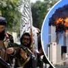 США опасаются новых терактов "Аль-Каиды". Коллаж "Сегодня"