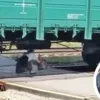 Под Киевом под поездом чуть не погиб человек