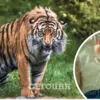 В Крыму тигр откусил ребенку палец