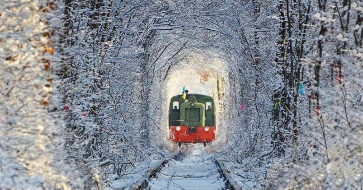 Тоннель любви украина фото