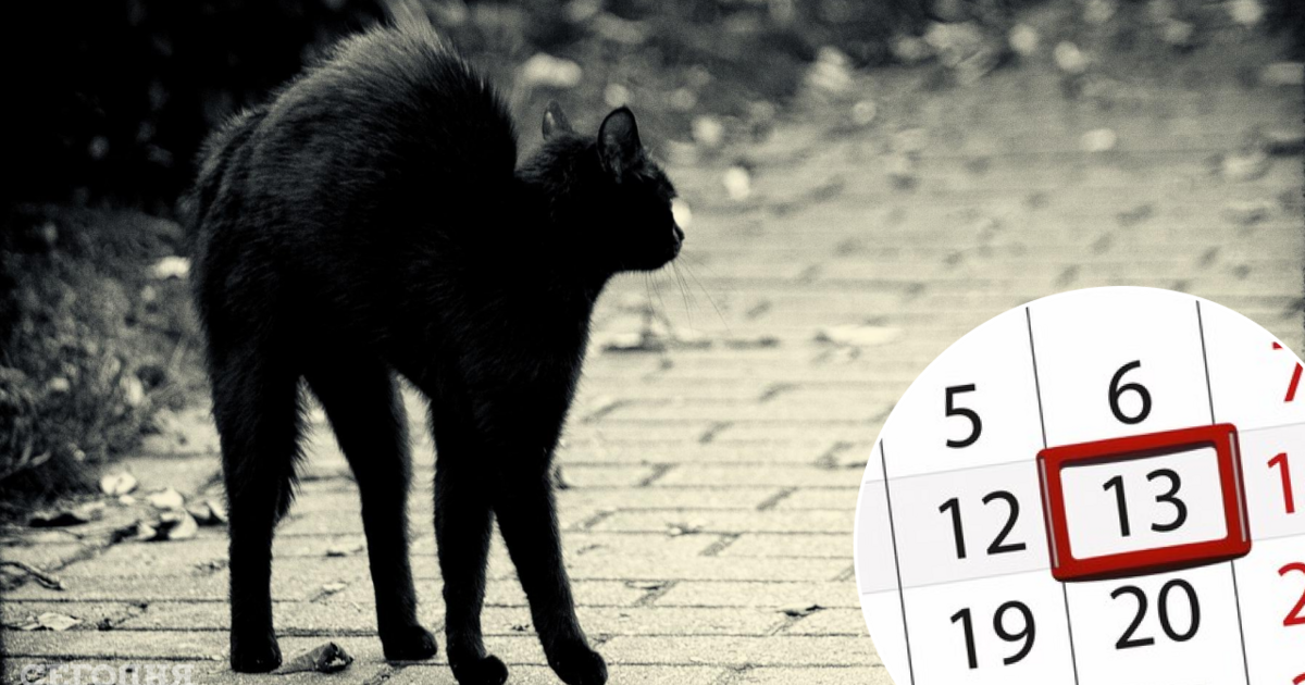 13 суеверия. Пятница 13 котики. Пятница 13 суеверие. Сегодня пятница 13.