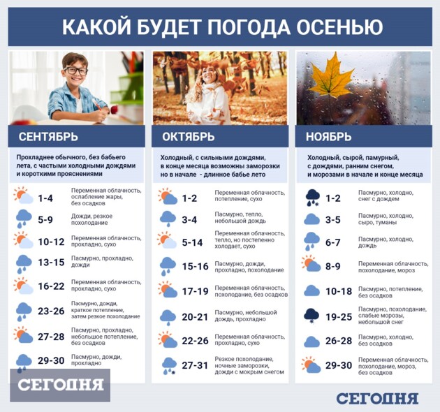 Инфографика по данным народного синоптика Леонида Горбаня