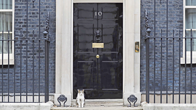 Лондон. Разом з резиденцією новим прем'єрам Великої Британії дістається кіт-мишолов