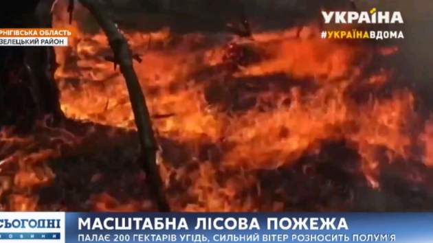 Для тушения пожара в Черниговской области задействовали авиацию