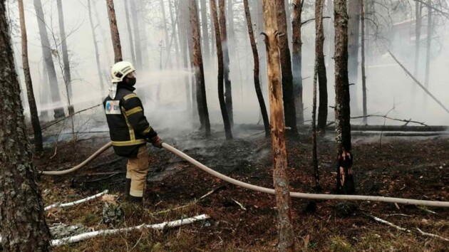 В Чернобыльской зоне продолжают тушить пожар более тысячи спасателей