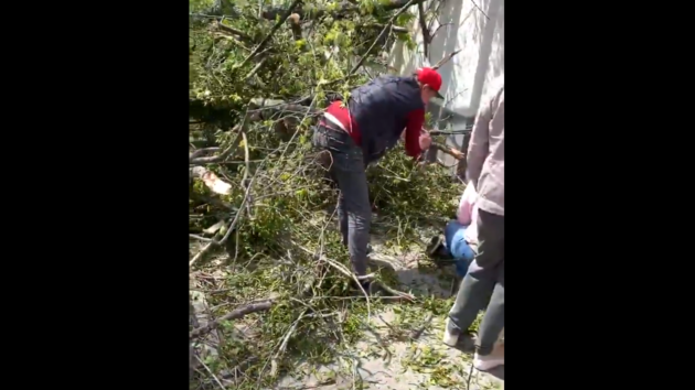 В центре Харькова на людей рухнуло дерево: есть пострадавшие (видео)