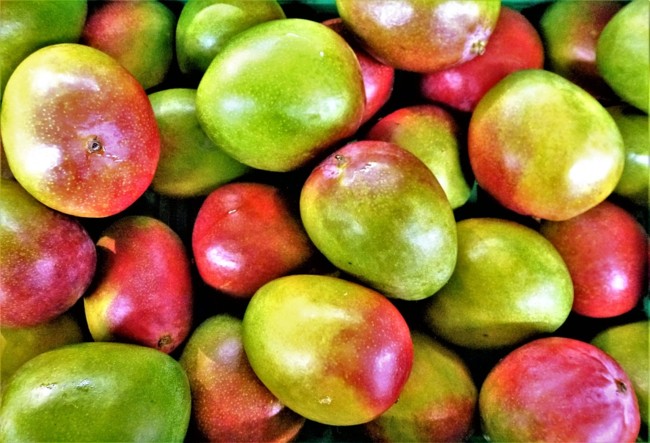 Mango Health Benefits And Harms